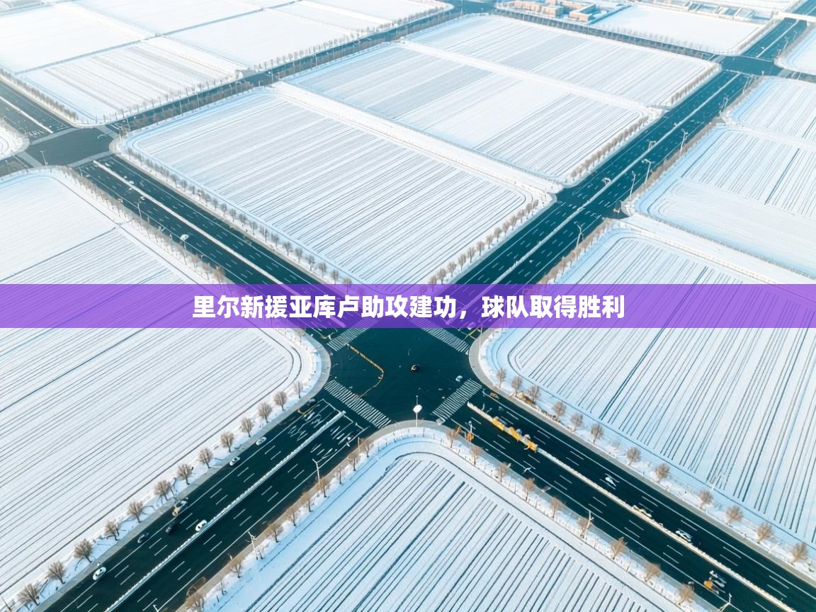 里尔新援亚库卢助攻建功，球队取得胜利  第2张