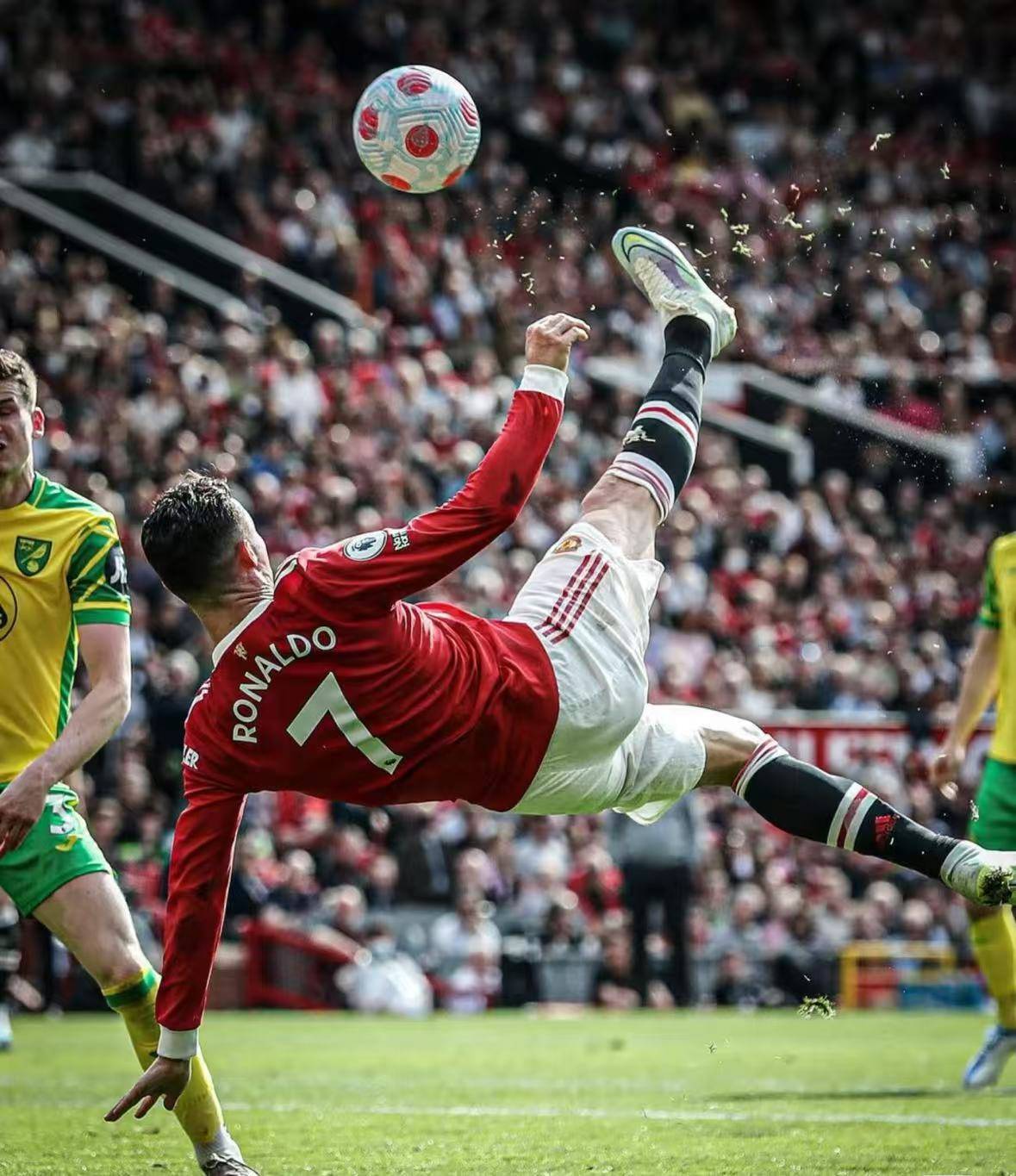 关于佛罗伦萨不敌那不勒斯,遗憾失利的信息 关于佛罗伦萨不敌那不勒斯,遗憾失利的信息