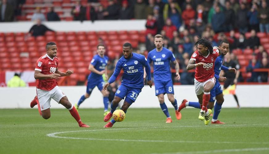 包含谢菲联取得重要胜利,球迷欢呼不断的词条 包含谢菲联取得重要胜利,球迷欢呼不断的词条