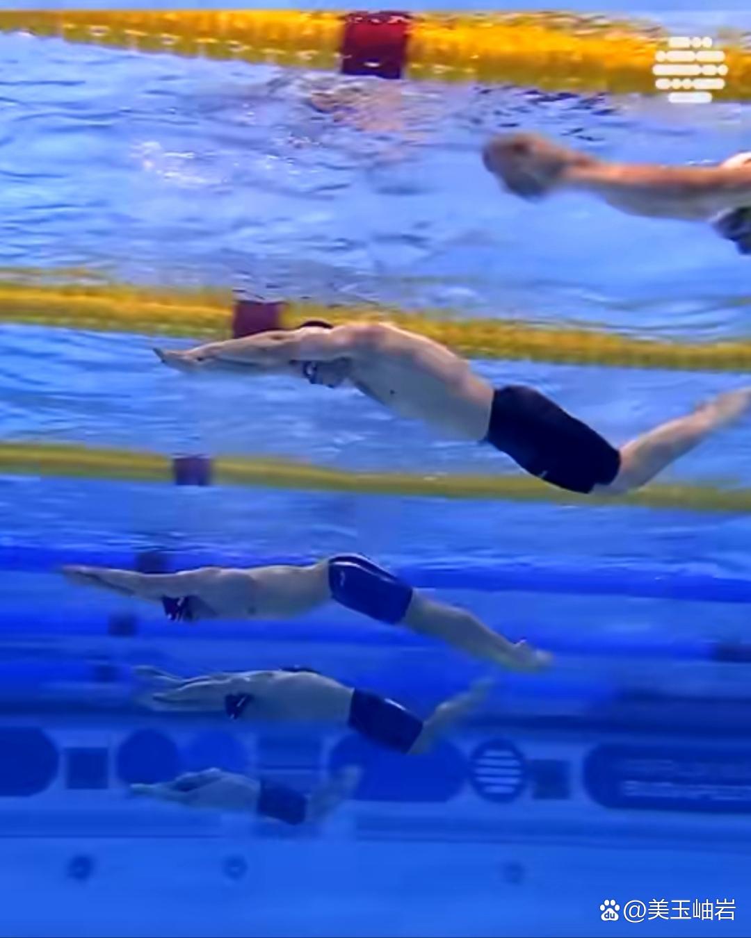 关于意大利游泳名将水中腾飞，创造佳绩的信息